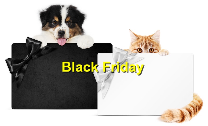 Black Friday: Pet Safety Tips for Busy Shopping Days
