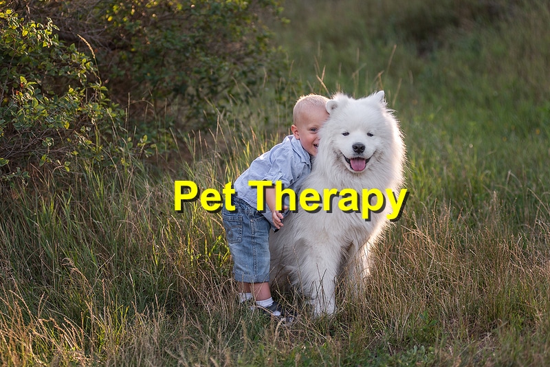 The Benefits of Pet Therapy for Your Health and Wellness