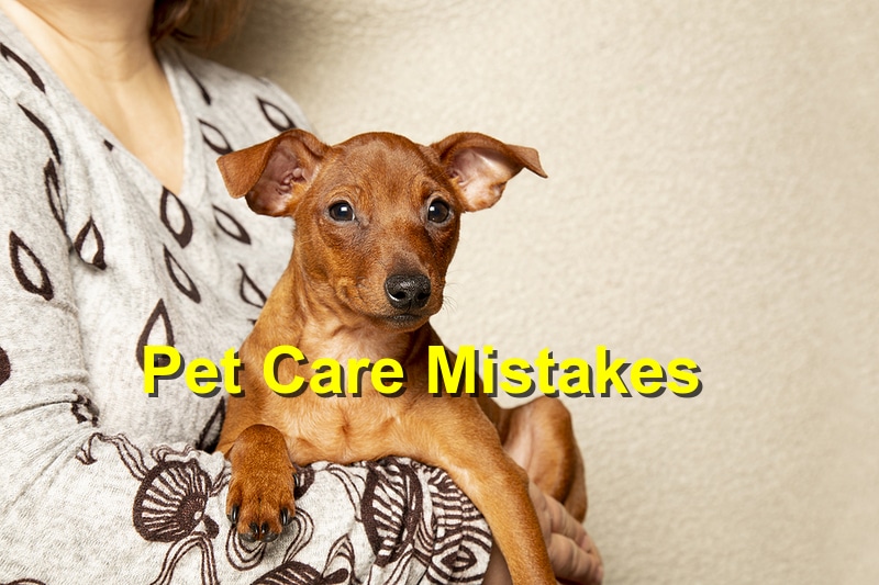 You are currently viewing Top Ten Pet Care Mistakes to Avoid in 2023