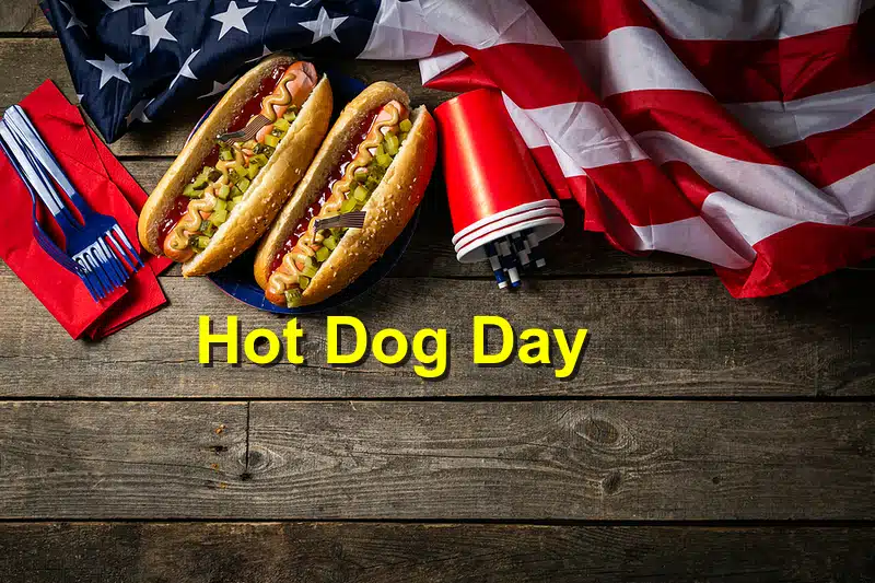 Read more about the article National Hot Dog Day: Fun Ways to Spoil Your Pooch