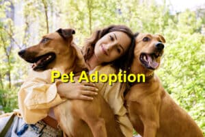 Read more about the article The Role of Pet Adoption in Reducing Animal Homelessness
