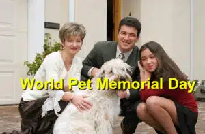 Read more about the article World Pet Memorial Day: Honoring Our Beloved Departed Companions