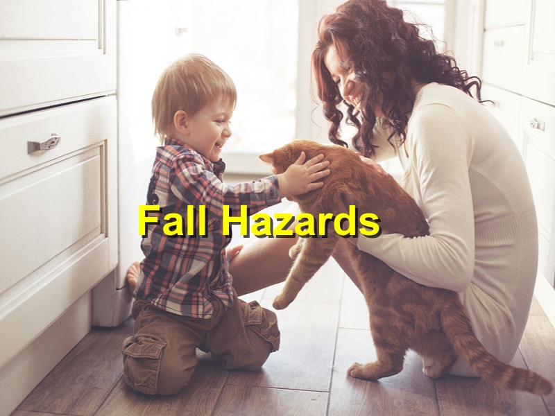 Fall Pet Emergency: Protecting Your Pets from Fall Hazards