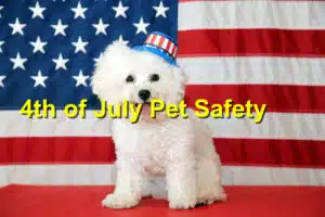 Read more about the article 4th of July Pet Safety: Protecting Your Pets from Fireworks