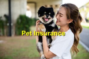 Read more about the article The Unseen Benefits of Having Pet Insurance