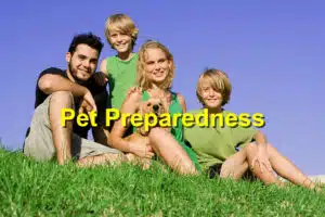 Read more about the article National Pet Preparedness Month: Creating an Emergency Plan for Your Pets