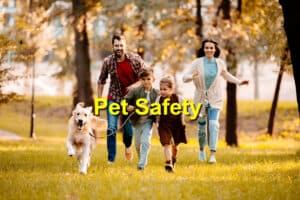 Pet Safety