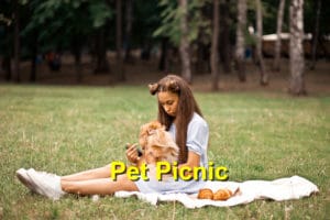 Read more about the article Dangerous Picnics to be Wary Of