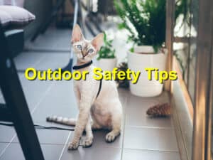 outdoor safety tips