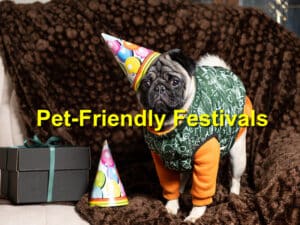 Read more about the article The Top Pet-Friendly Festivals in Braselton