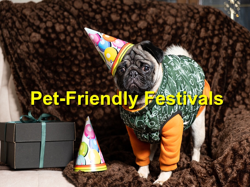 You are currently viewing The Top Pet-Friendly Festivals in Braselton
