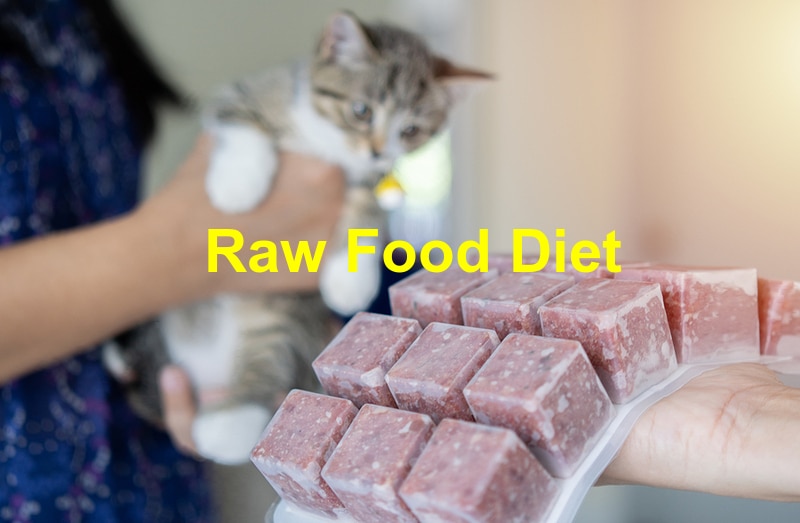 Unleashing the Benefits of a Raw Food Diet for Your Pet