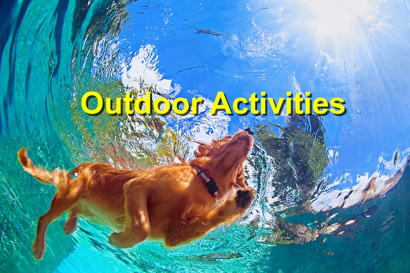 The Top Outdoor Activities for Your Pet