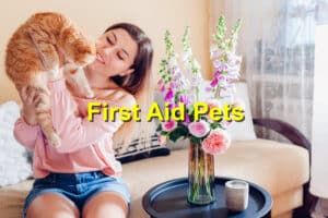 Read more about the article The Role of First Aid in Pet Health