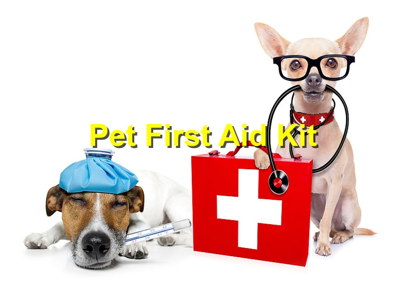 How to Prepare a Pet First Aid Kit for Emergencies