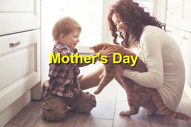You are currently viewing Mother’s Day: How Pets Can Provide Comfort and Support