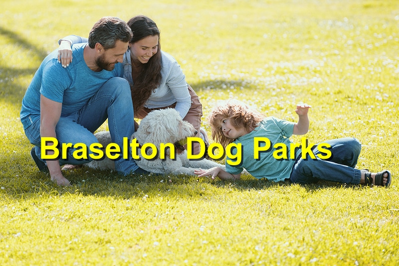 Discovering the Top Dog Parks in Braselton, GA
