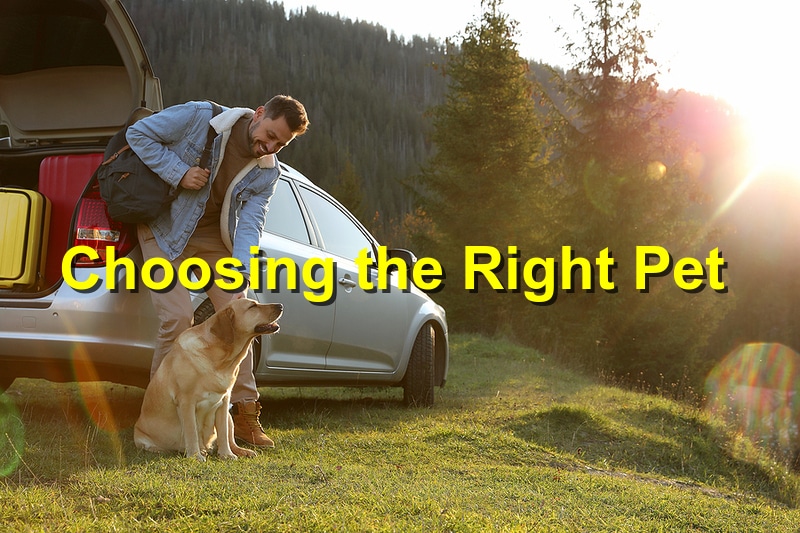 How to Choose the Right Pet for Your Family