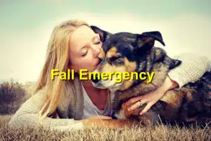 Fall Emergency