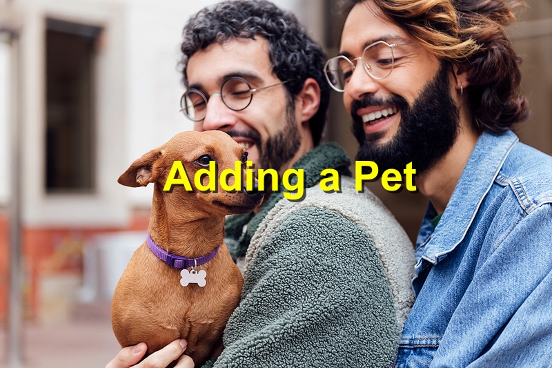 The Benefits of Adding a Pet to Your Family