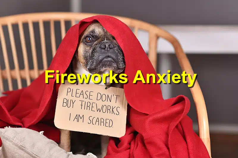 You are currently viewing Fourth of July Pet Safety: Protecting Your Pets from Fireworks Anxiety