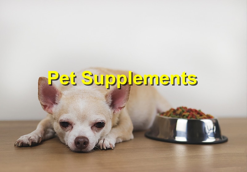 You are currently viewing The Role of Pet Supplements in Your Animal’s Health