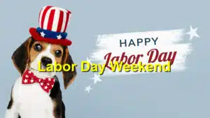 Read more about the article Labor Day Weekend: Pet-Friendly Activities and Safety Tips