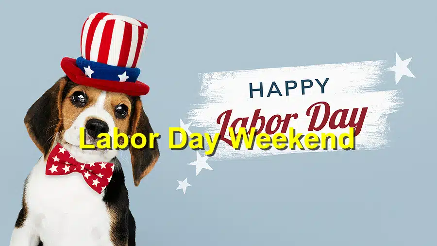 Labor Day Weekend PetFriendly Activities and Safety Tips Emergency